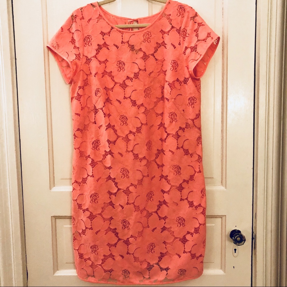 Coral Lace Dress - LOFT